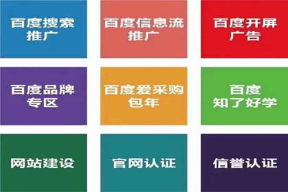 SEM运营公司案例研究：广告创意与执行